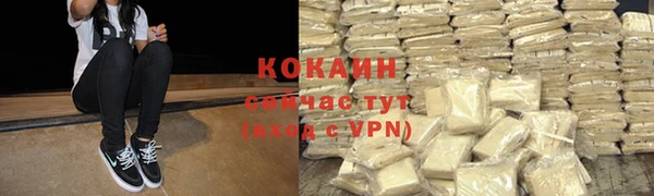 ПСИЛОЦИБИНОВЫЕ ГРИБЫ Покров