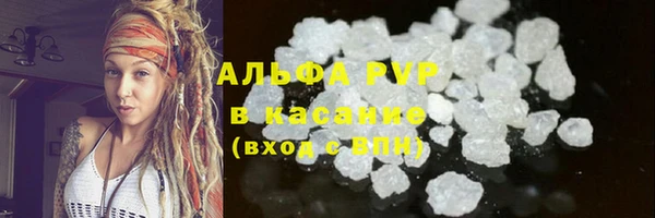 ПСИЛОЦИБИНОВЫЕ ГРИБЫ Покров