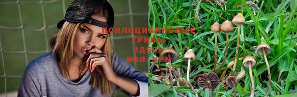 стафф Ветлуга